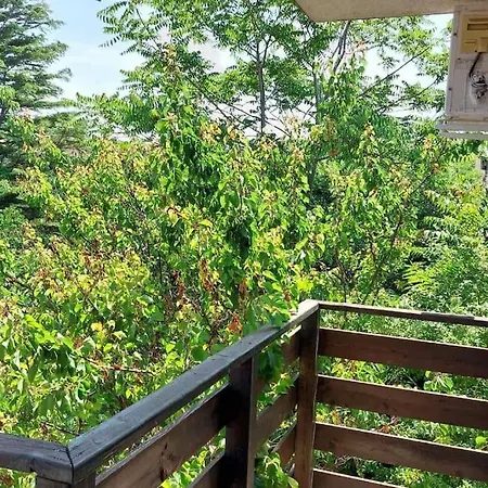 Cozy, Spacious Near Paradise Bay Apartment